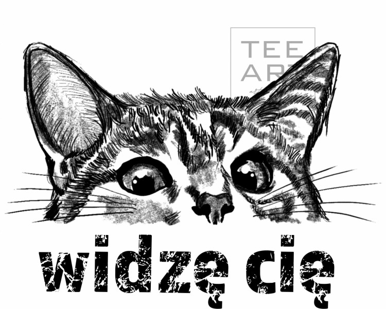 37. KOT.jpg