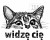 37. KOT.jpg