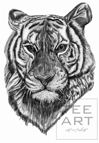 53. TIGER.jpg