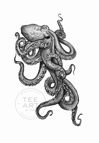 53. OCTOPUS.jpg